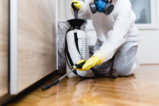Best Bed Bug Extermination  in Hartsville, SC