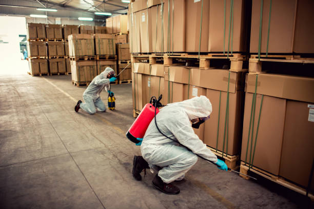Best Pest Control Near Me  in Hartsville, SC