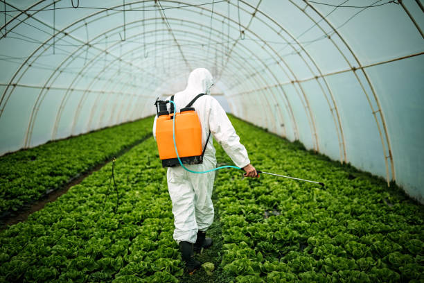 Best Residential Pest Control  in Hartsville, SC