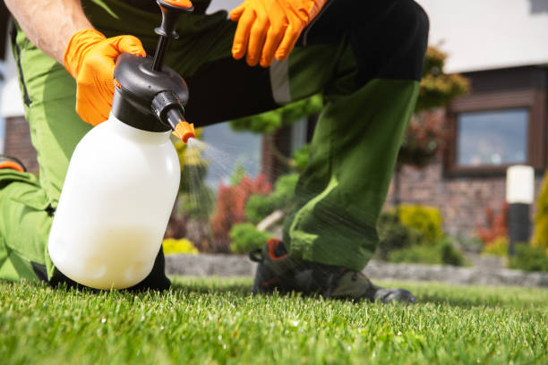 Best Insect Control  in Hartsville, SC