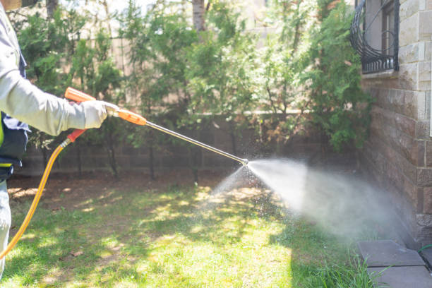 Best Affordable Pest Control Services  in Hartsville, SC