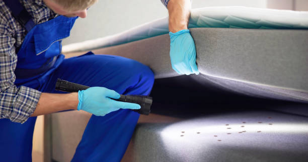 Best Cockroach Control Services  in Hartsville, SC