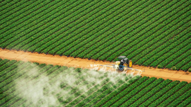 Best Best Pest Control Companies  in Hartsville, SC