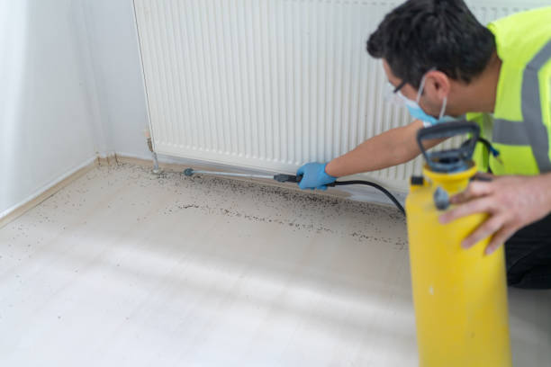 Best Exterminator Services  in Hartsville, SC
